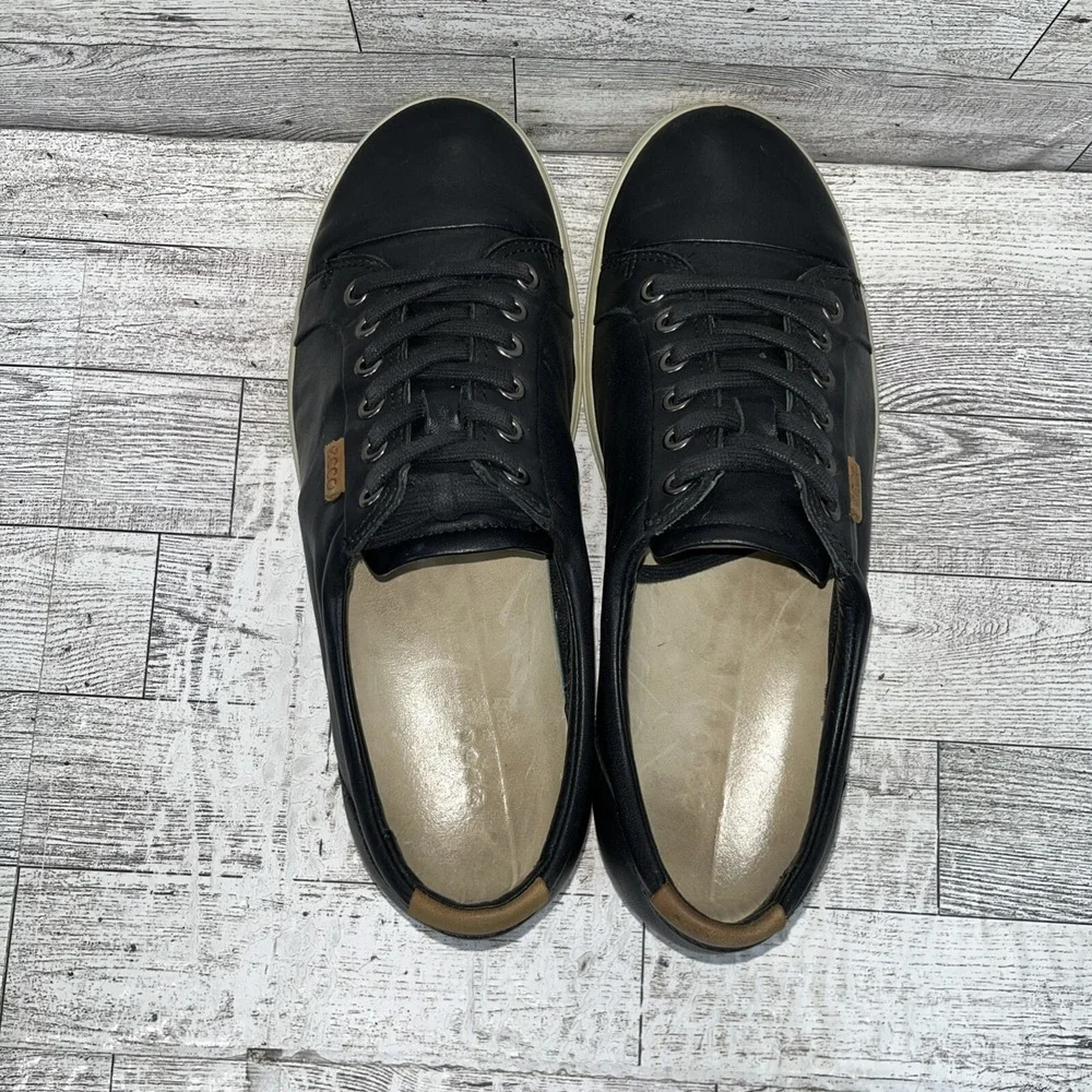Ecco elevate your